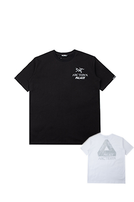 【ARC TERYX】メンズ レディース 半袖Tシャツ  aat14262