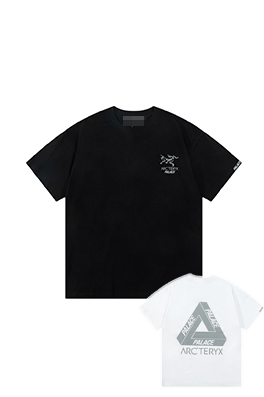 【アークテリクス】×【パレス】メンズ レディース 半袖Tシャツ  aat14419