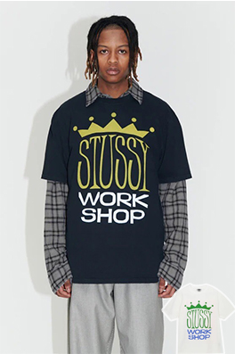 【ステューシー】メンズ レディース 半袖Tシャツ  aat14732