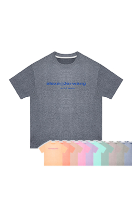 【アレキサンダーワンタイプ】メンズ レディース 半袖Tシャツ  aat15043