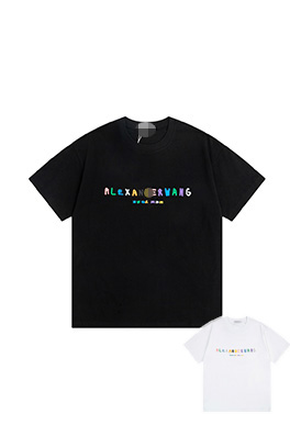 【アレキサンダーワンタイプ】メンズ レディース 半袖Tシャツaat15115