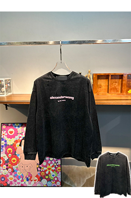 【アレキサンダーワンタイプ】メンズ レディース 長袖Tシャツ  aat15542