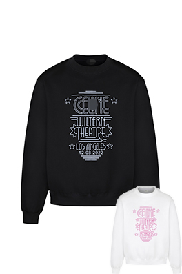 【セリーヌタイプ】メンズ レディース 長袖　スウェットTシャツ  aat15828