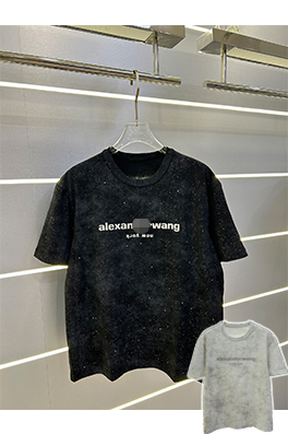 【アレキサンダーワンタイプ】メンズ レディース 半袖Tシャツ   aat17811