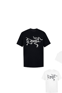 【ジルサンダー】×【アークテリクス】メンズ レディース 半袖Tシャツ   aat17939