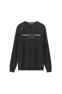 【アレキサンダーワンタイプ】メンズ レディース 長袖Tシャツ   aat18380