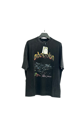 【バレンタイプ】メンズ レディース 半袖Tシャツ     aat19743