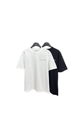 【ディオールタイプ】メンズ レディース 半袖Tシャツ     aat20214
