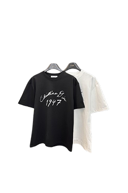 【ディオールタイプ】メンズ レディース 半袖Tシャツ     aat20218