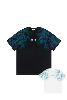 【ディオールタイプ】メンズ レディース 半袖Tシャツ    aat20878
