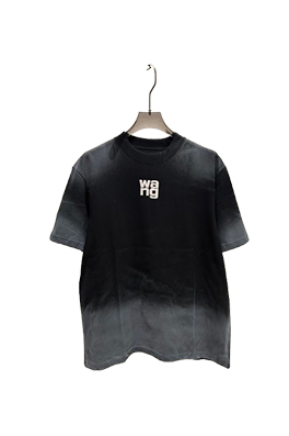 【アレキサンダーワンタイプ】メンズ レディース 半袖Tシャツ    aat21012