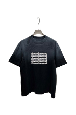 【アレキサンダーワンタイプ】メンズ レディース 半袖Tシャツ    aat21013