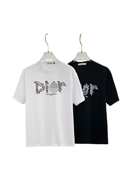 【ディオールタイプ】メンズ レディース 半袖Tシャツ    aat21095
