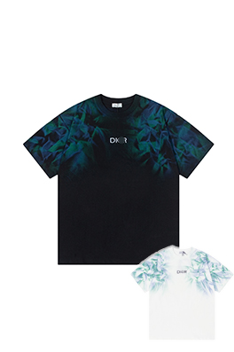 【ディオールタイプ】メンズ レディース 半袖Tシャツ    aat21149