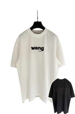 【アレキサンダーワンタイプ】メンズ レディース 半袖Tシャツ    aat21222