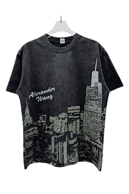 【アレキサンダーワンタイプ】メンズ レディース 半袖Tシャツ  aat22528