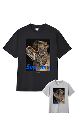 【シュプリームタイプ】メンズ レディース 半袖Tシャツ  aat22962