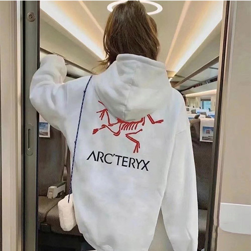 セカンドブランド / 【パレス】×【ARCTERYX】フード Tシャツ